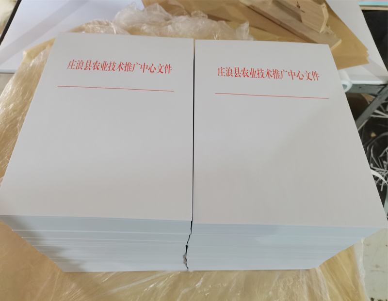 沙坡头文头纸
